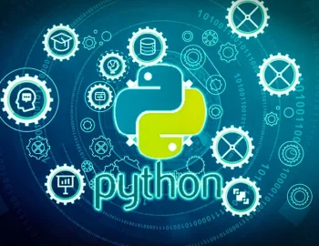 why-should-we-have-to-learn-python